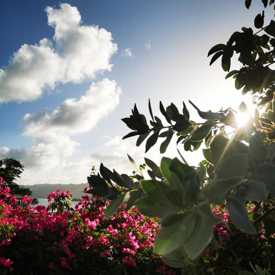 Vue Sur Mer A La Villa Parme Le Robert Exterior foto